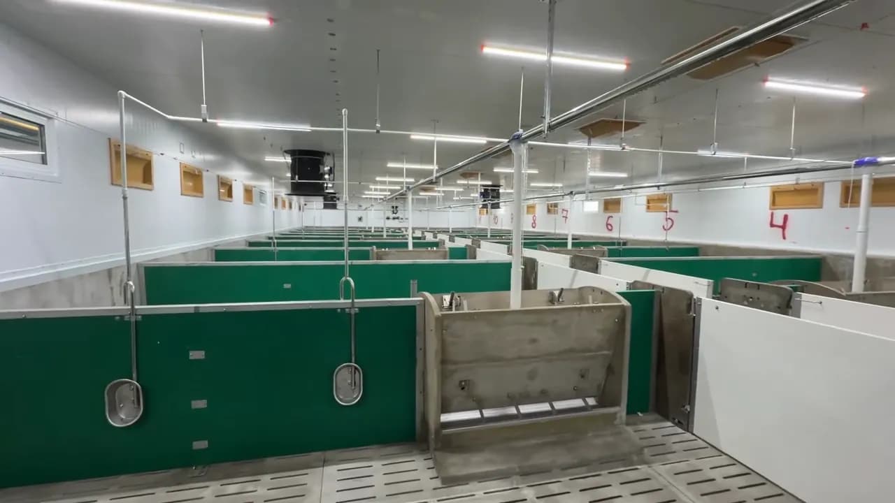 Групповые станки, водоснабжение и приводы клапанов