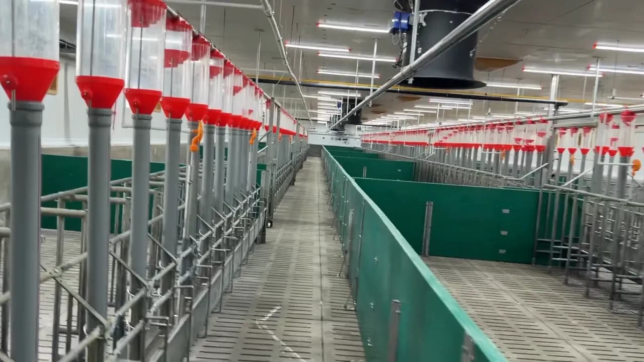 Приточные клапаны и линии кормления